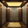 images/elevator-img2/Bronze-Brushed-Stainless-Steel-Home-Lift-Passenger-Elevator.jpg